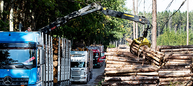 Brusel přidal do návrhu o odlesňování další zmatky, začne platit dřív