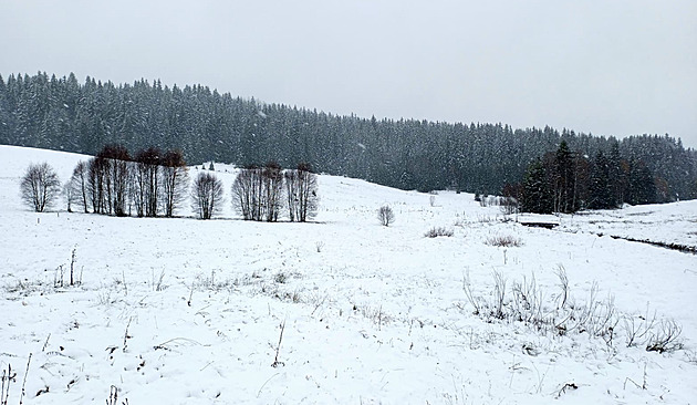 Večer začne v Česku platit výstraha před náledím. Na přelomu roku má vydatně sněžit