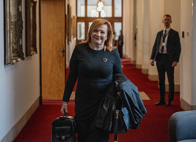 Ministryně financí Schillerová představí výsledek loňského rozpočtu