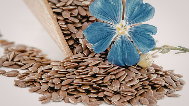 Levná surovina ze špajzu, která zlepší trávení ale není pro každého. Můžete ji vy?