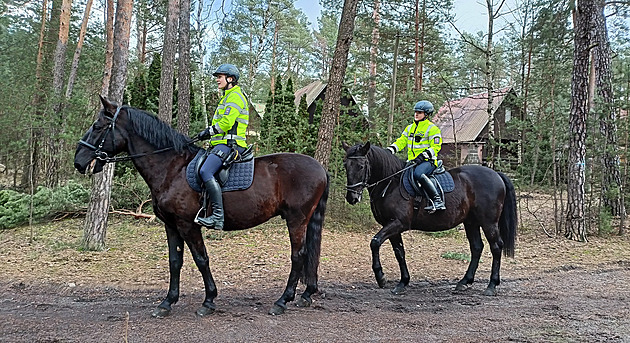 Manévry kvůli ztracenému chlapci. Hledají ho i policisté na koních a hasiči