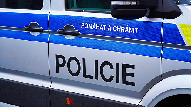 Po bitce více než deseti lidí zůstali dva zranění a několik poničených aut