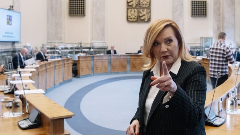 Schillerová slibuje: Do důchodu půjdete s milionem navíc. Zmínila tři výhody penzijního spoření