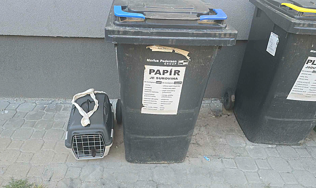 Koťata kdosi nechal zavřená v přepravce u popelnice, venku zrovna byly třicítky