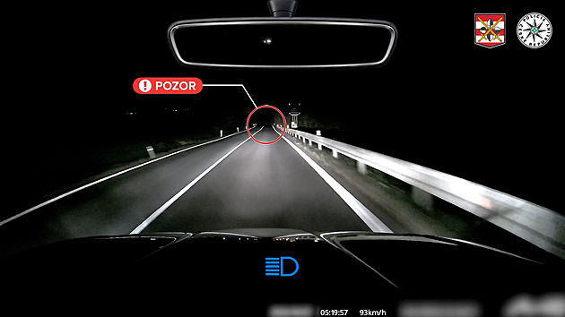 Ztlumit světla a držet směr. Policisté radí co dělat, když vám před auto vběhne srna