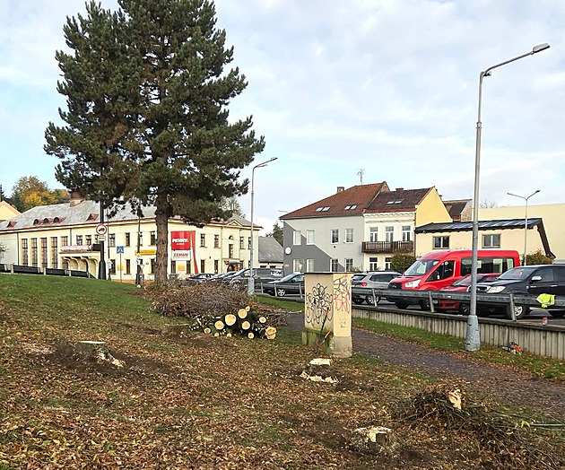 Městské stromy padly bez povolení. Místní viní market, ten se nařčení brání