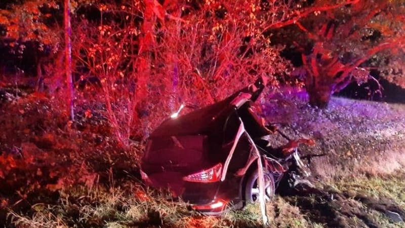 Šokující pozadí nehody na Jindřichohradecku: Řidič měl před smrtí brutálně napadnout svoji ženu