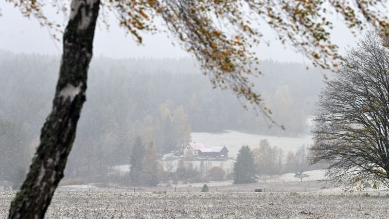 Sledujte RADAR: O víkendu se prudce ochladí po celém Česku, na horách napadne i sníh